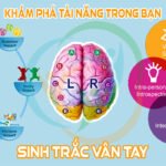 Sinh Trắc Vân Tay